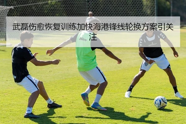 武磊伤愈恢复训练加快海港锋线轮换方案引关注 - WukongSports